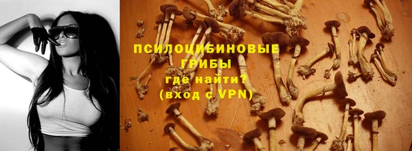 соль курить ск Алзамай