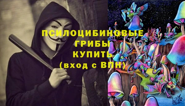 соль курить ск Алзамай
