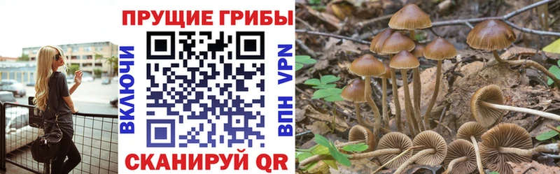 Псилоцибиновые грибы мицелий  blacksprut рабочий сайт  Шумиха  даркнет сайт 